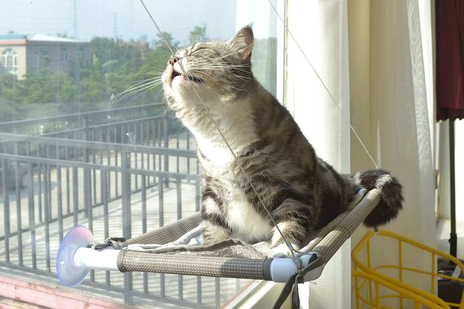 Amazon PEFUNY Cat Window Hammock