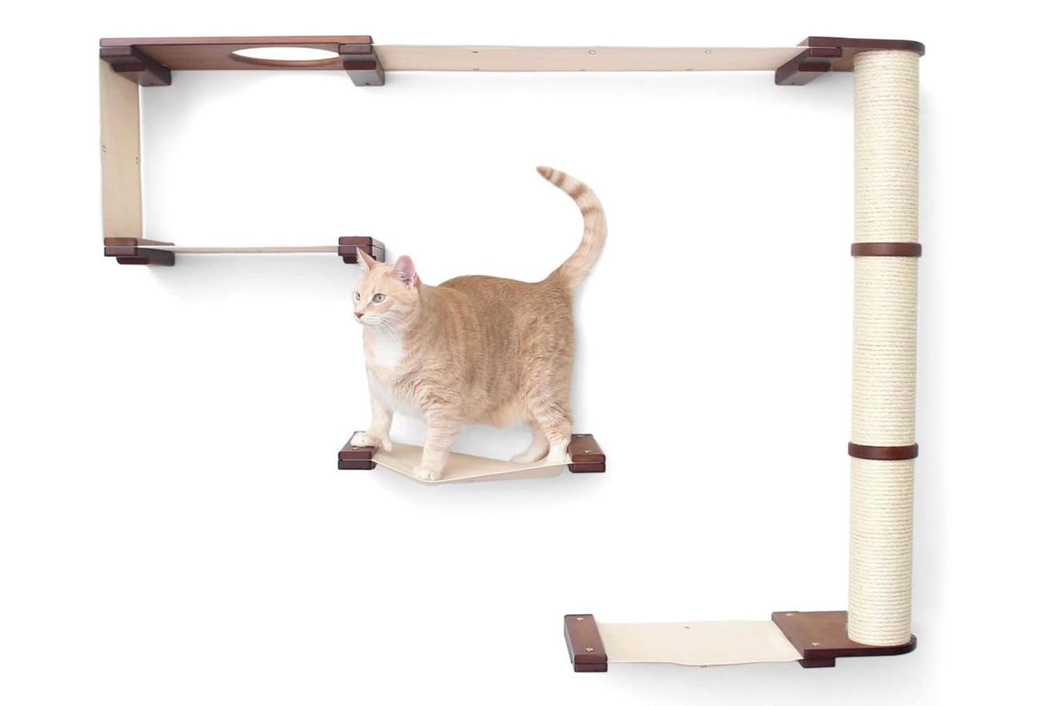 Amazon CatastrophiCreations Handcrafted Wall Mounted Cat Tree Shelves