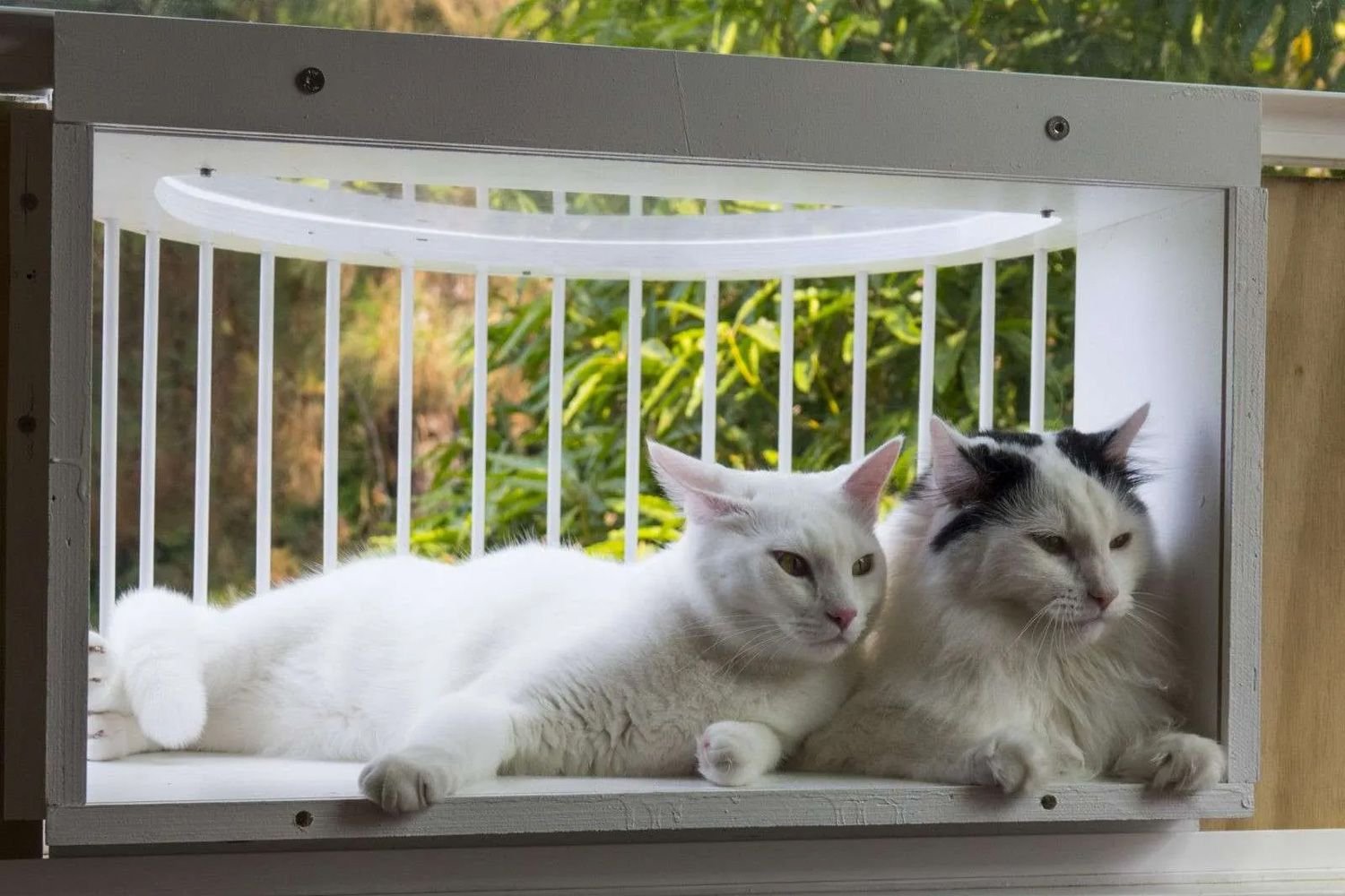Cat Solarium Sun Room Package