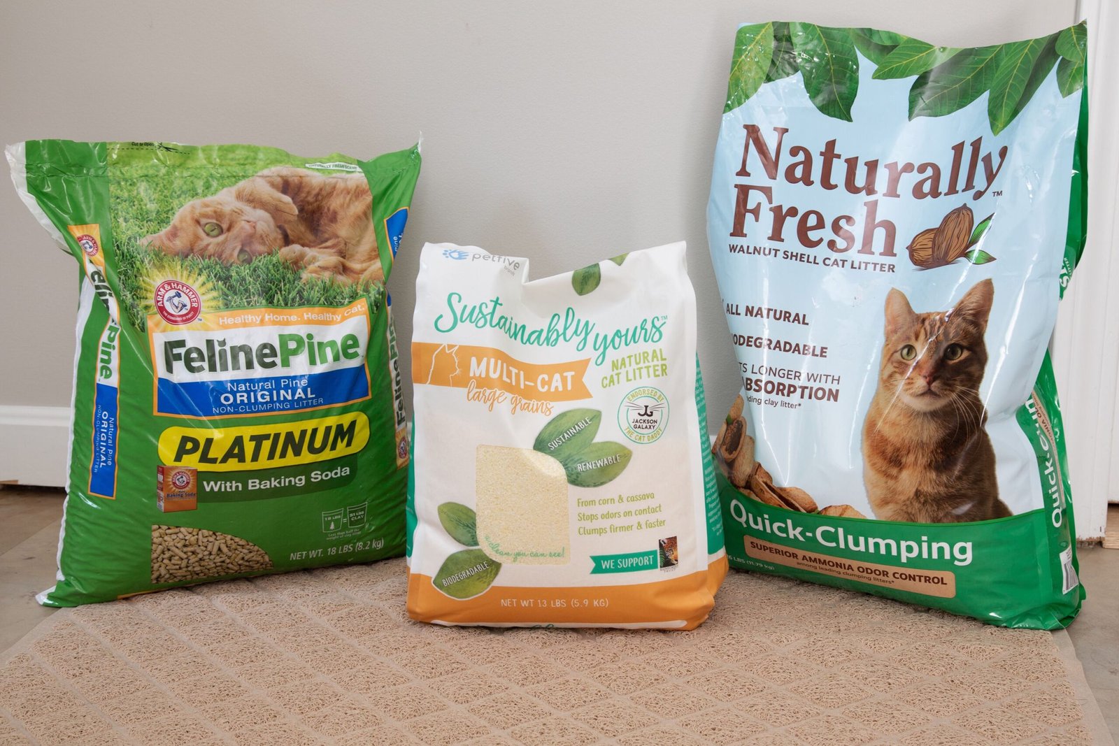 We Tested More Than Two Dozen Cat Litters, and These 6 Are Our Favorites for Kittens