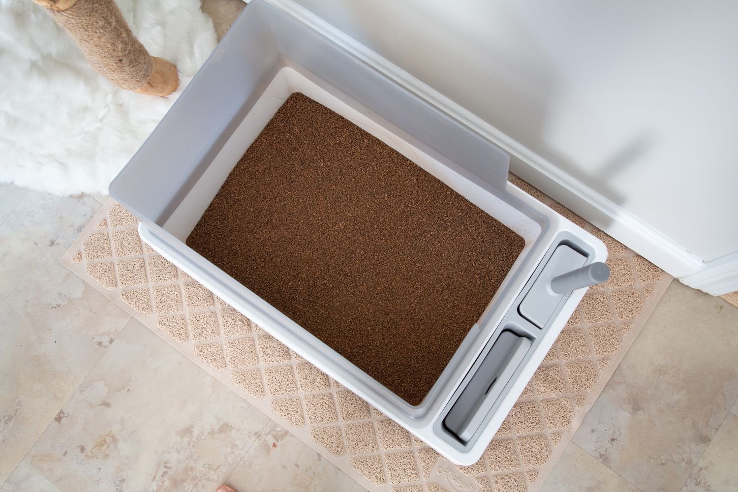Naturally fresh cat litter is poured into its box and placed on the floor