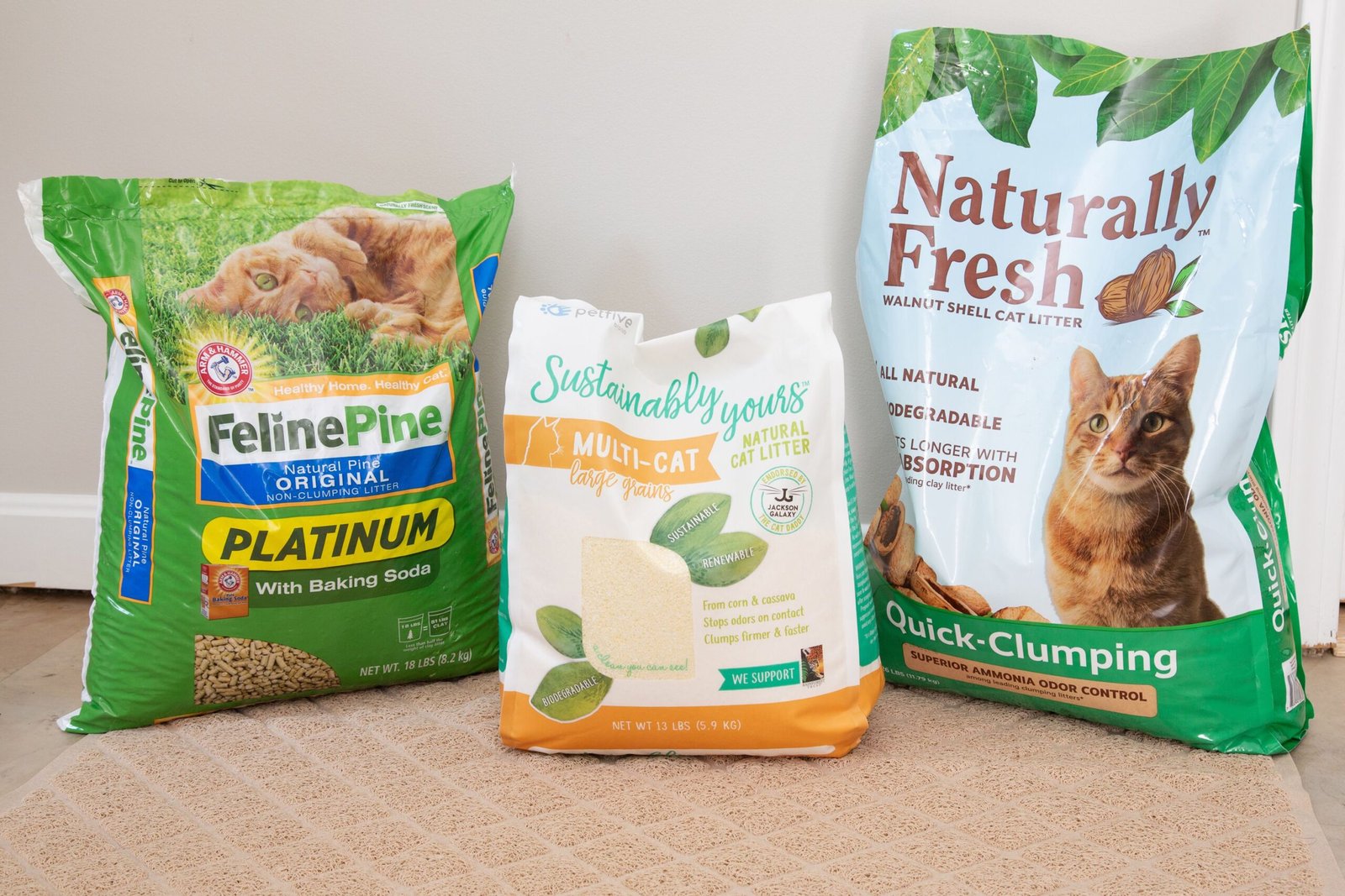 The 8 Best Eco-Friendly Cat Litters of 2026