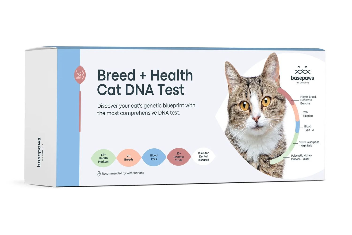 Basepaws Cat DNA Test