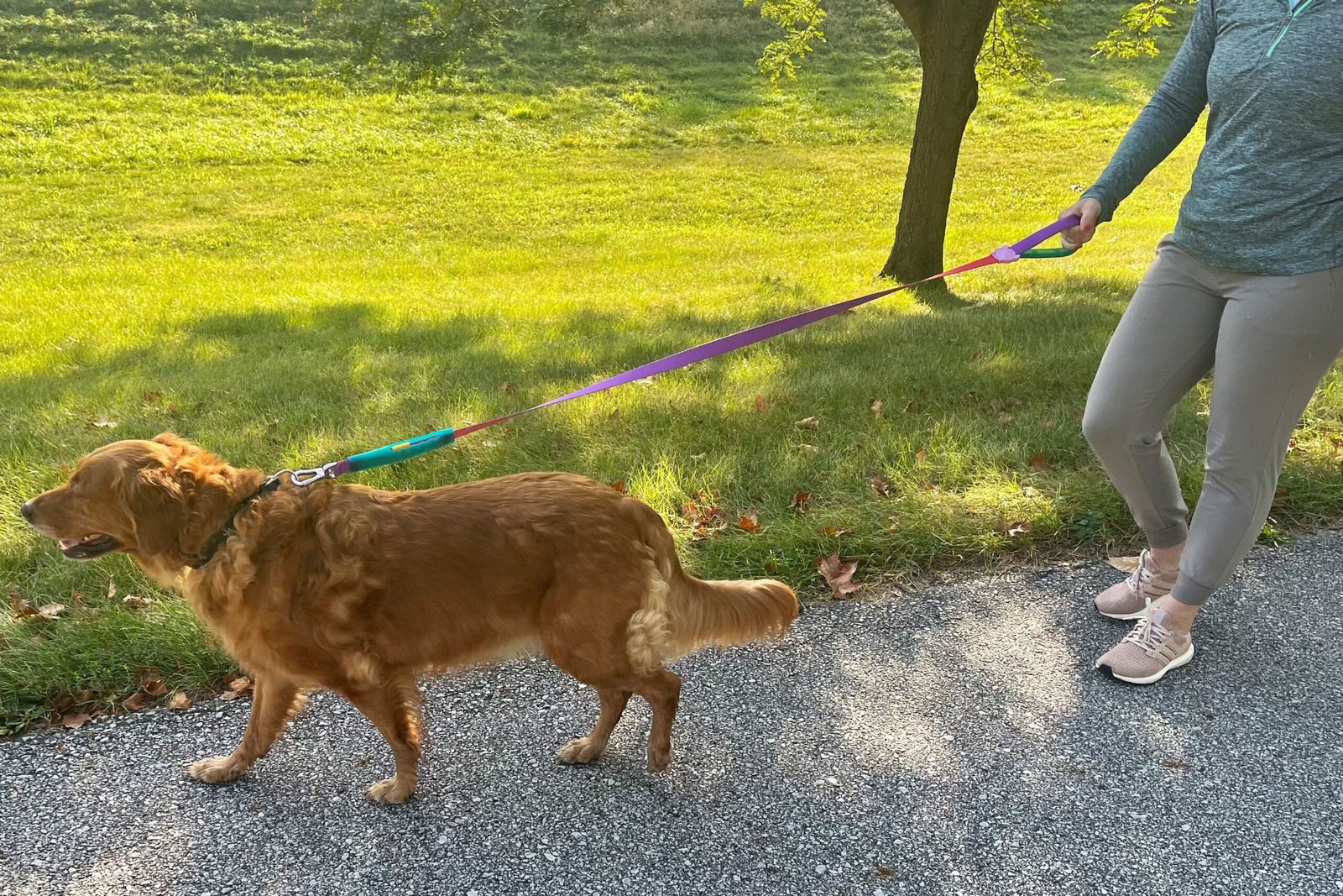 The 12 Best Dog Leashes of 2026