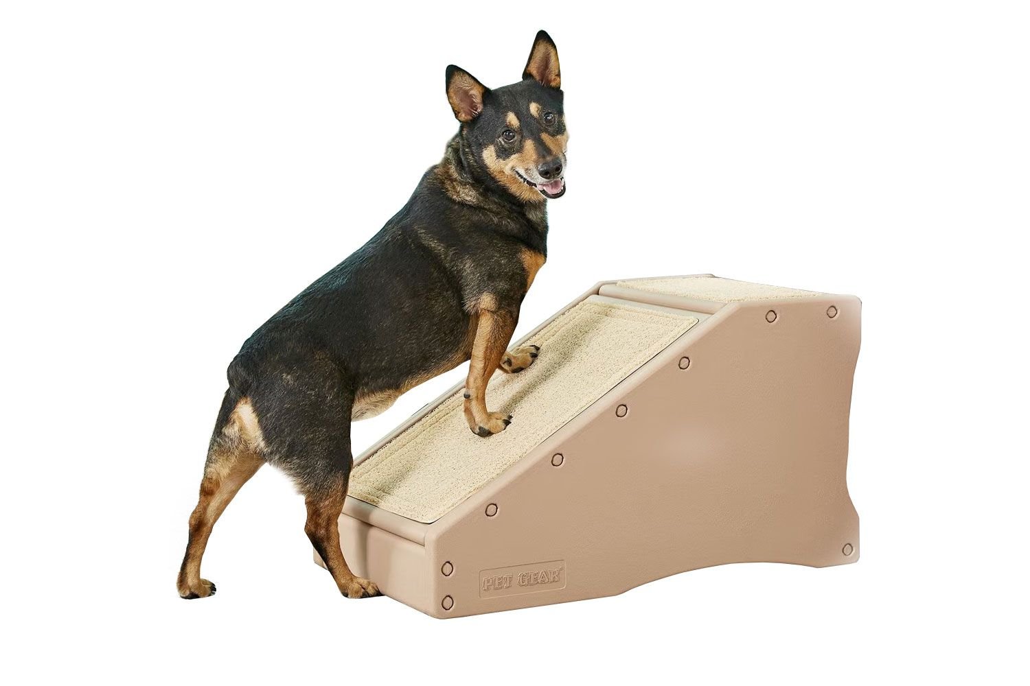 Pet Gear Stairs and Ramp