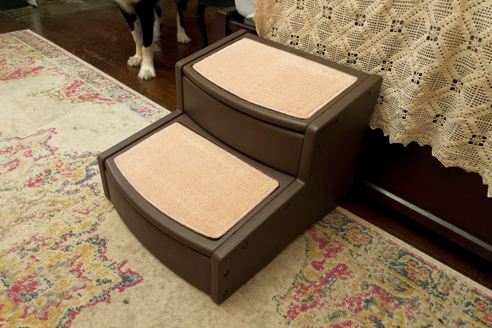 The 8 Best Dog Stairs of 2026