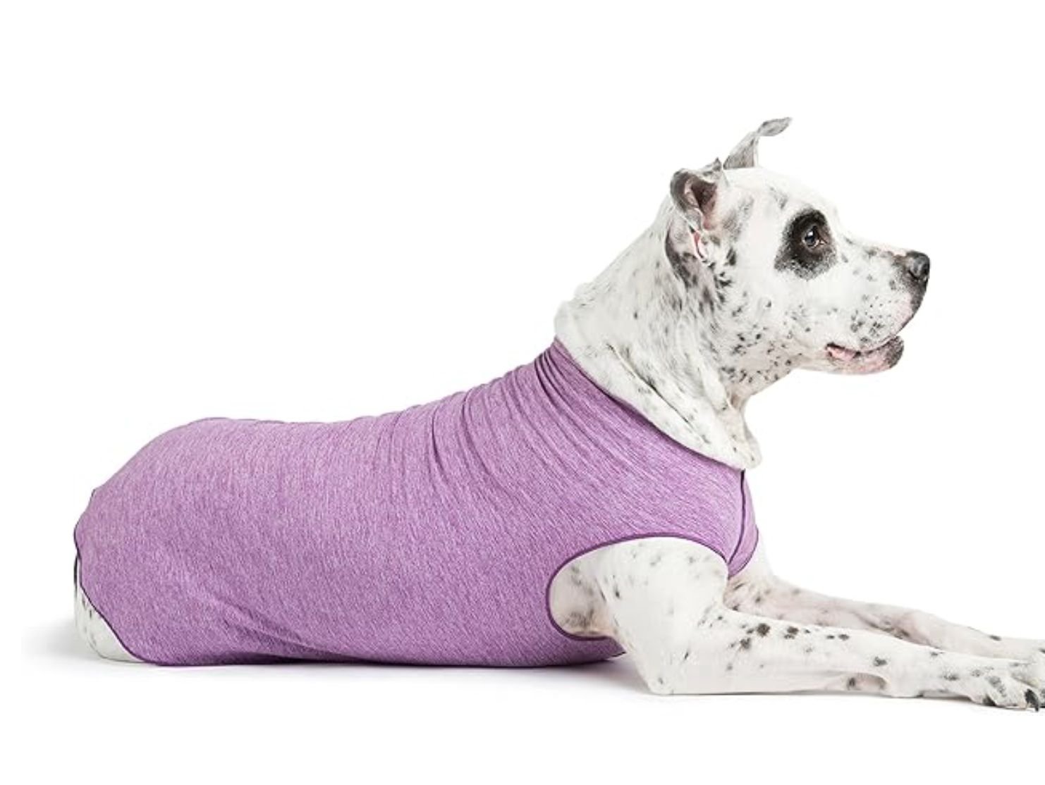 Gold Paw Sun Shield Dog Tee