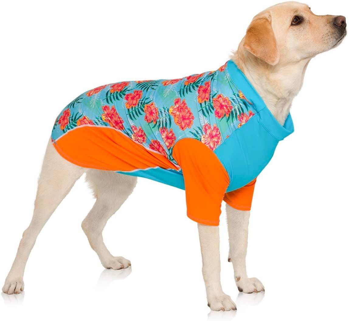 PlayaPup Dog Sun Shirt