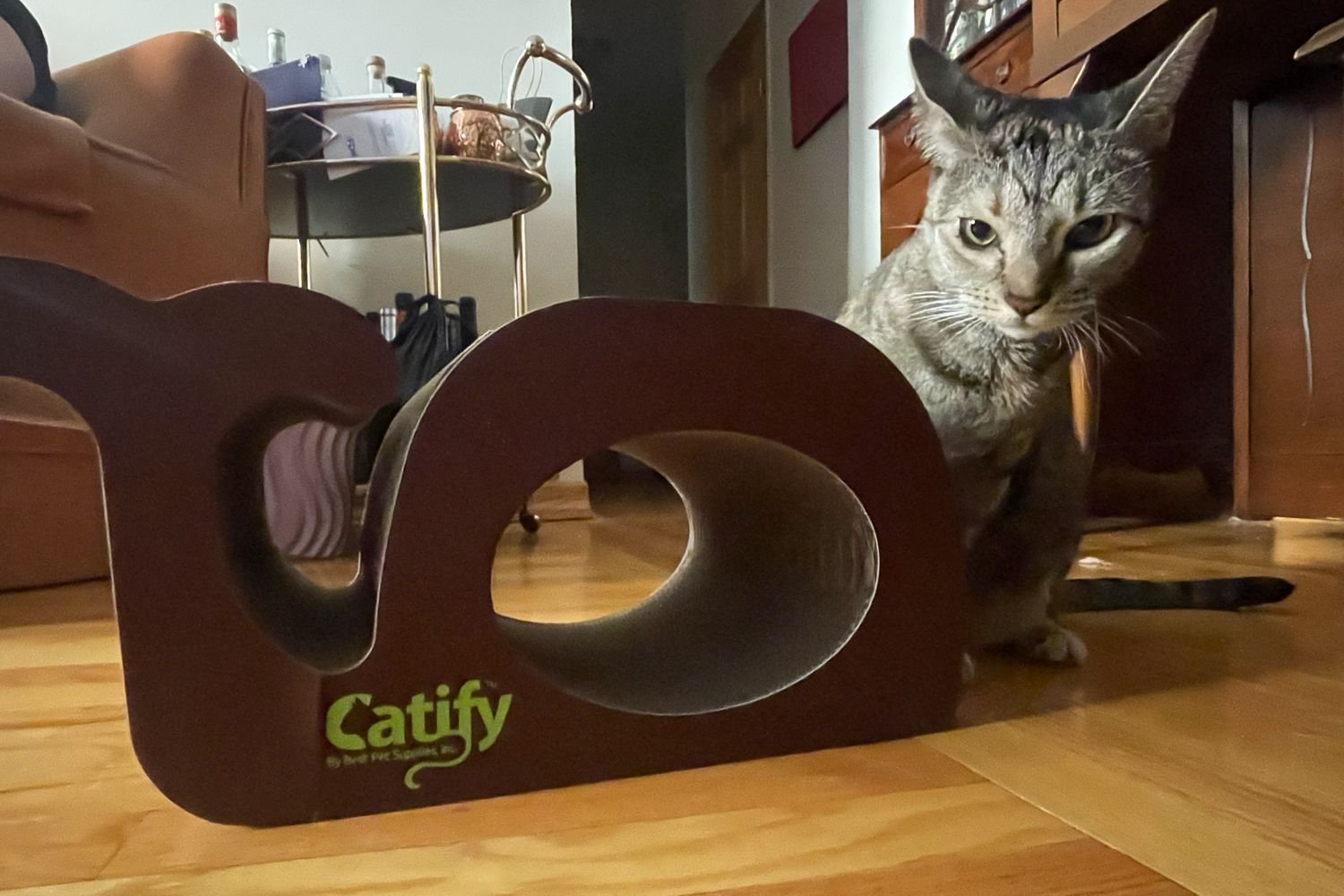 A cat playing with the Best Pet Supplies Corrugated Cardboard Cat Scratcher