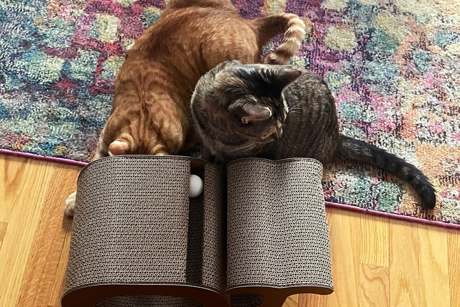 Two cats playing with the Best Pet Supplies Corrugated Cardboard Cat Scratcher
