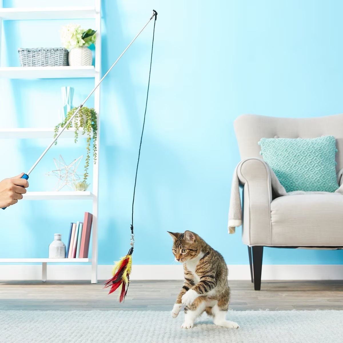 Pet Fit for Life Teaser Cat Toy