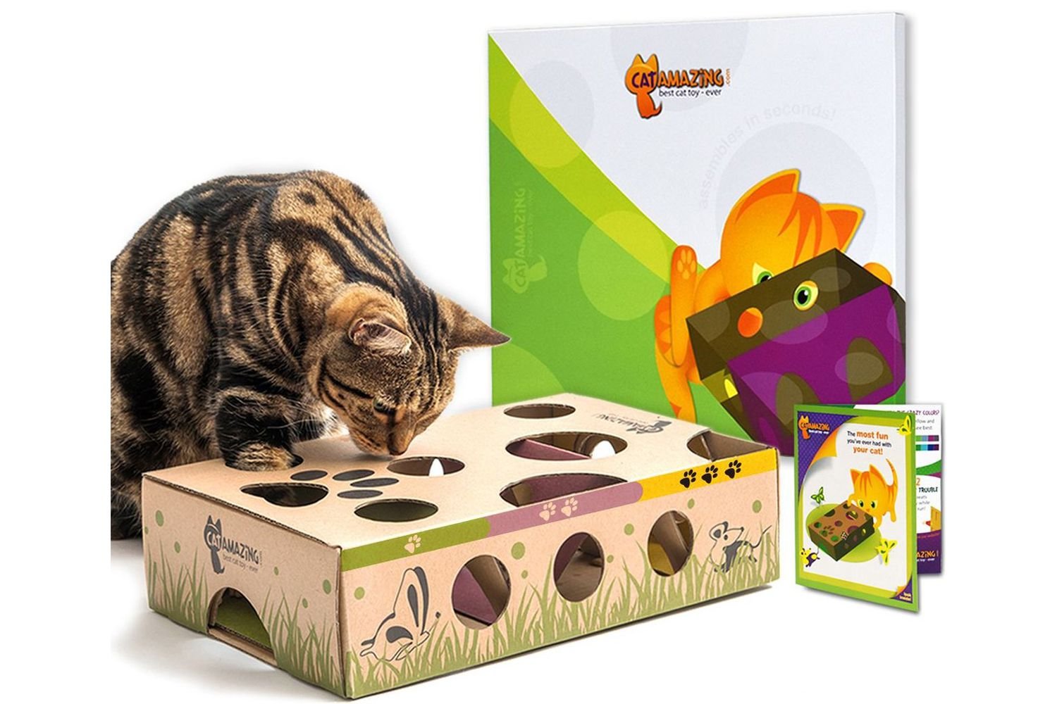 Chewy Cat Amazing Interactive Treat Maze & Puzzle Cat Toy