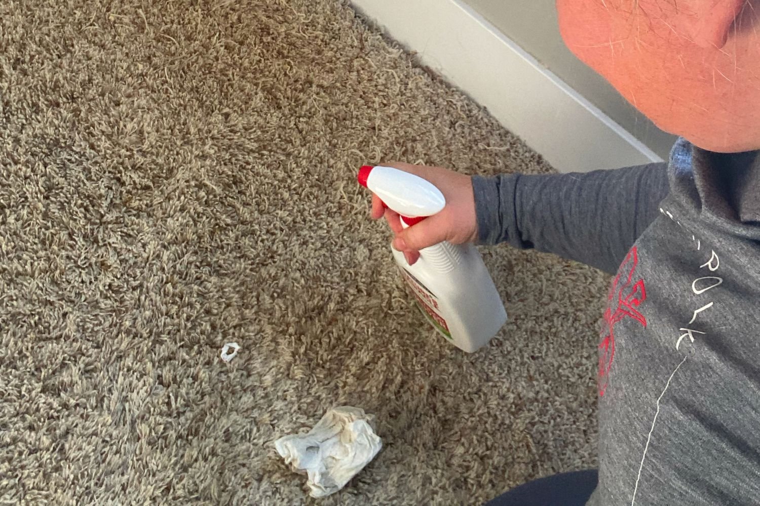 Person spraying Nature's Miracle Just for Cats Stain and Odor Remover on a fluffy carpet floor
