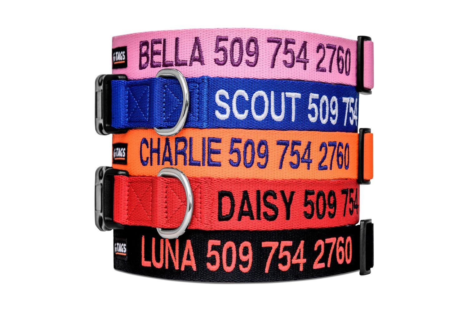 GoTags Nylon Personalized Dog Collar