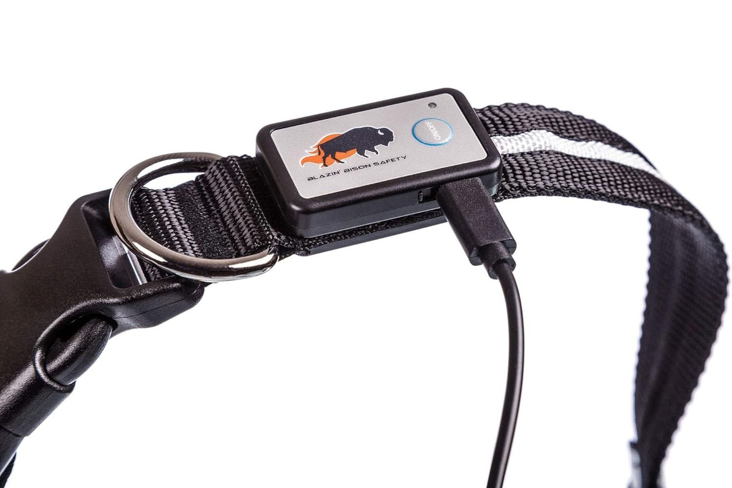 Blazin Light-Up Dog Collar