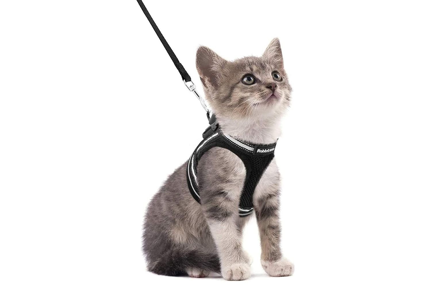 Rabbitgoo Escape Proof Cat Harness and Leash Set