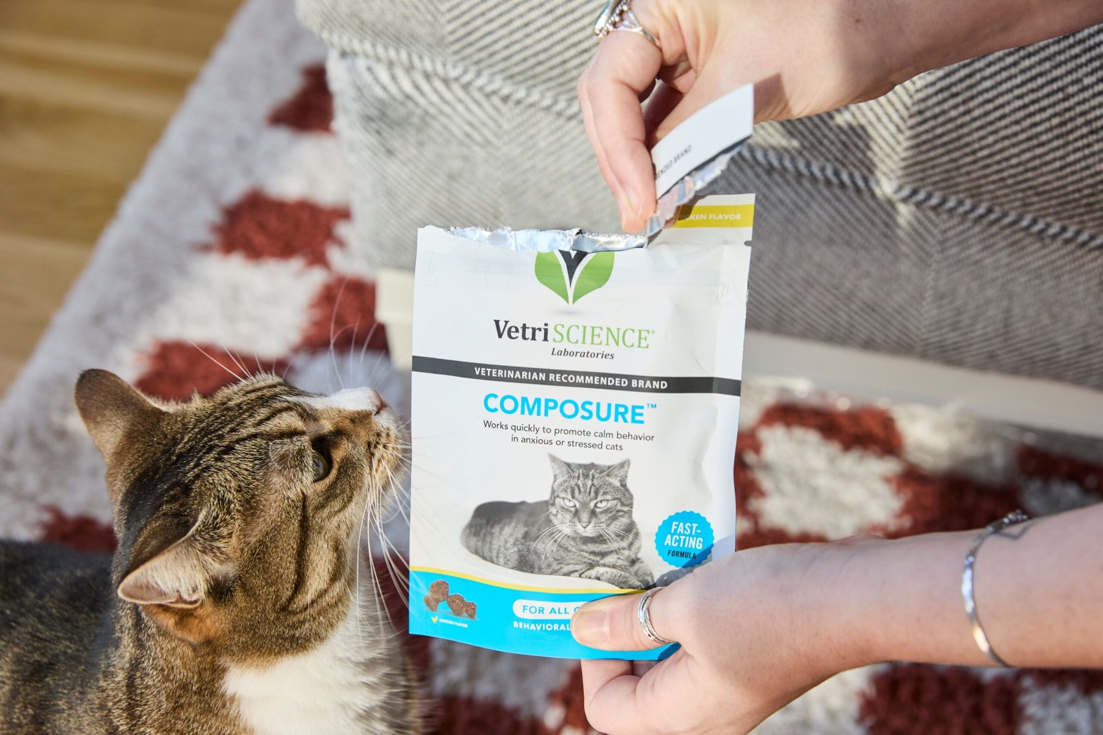 The 10 Best Calming Aids for Managing Your Cat's Stress