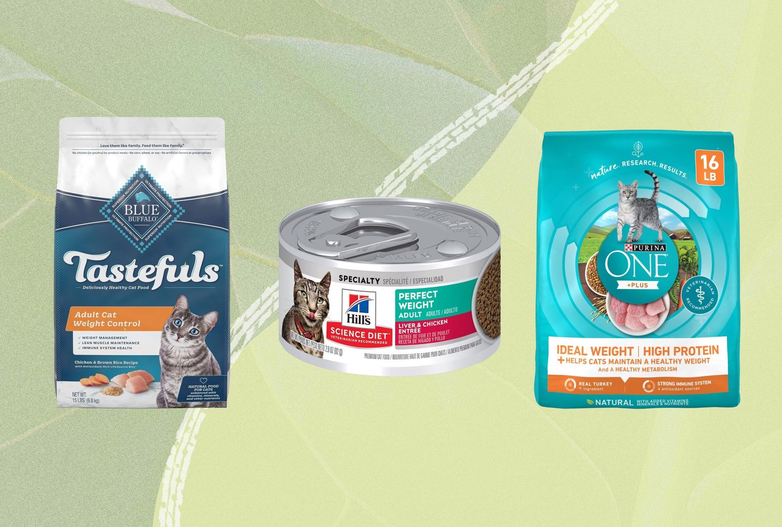 The Best Cat Foods for Weight Loss, According to Hundreds of Healthy Cats