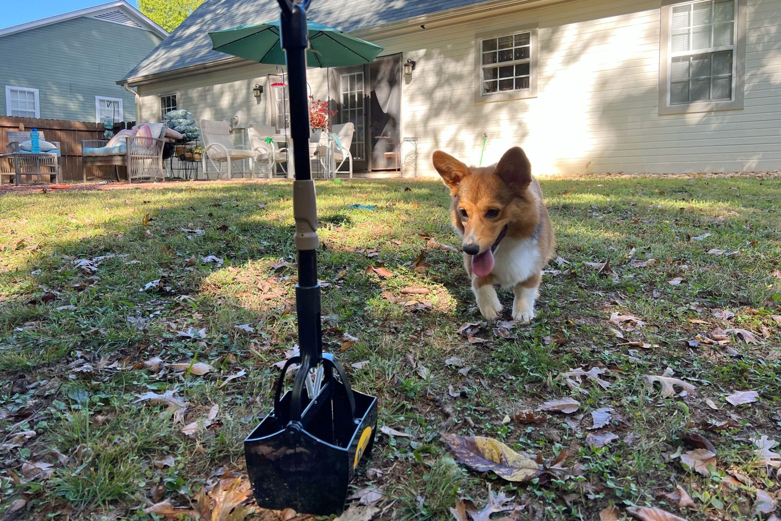We tested 18 Pooper Scoopers and Found the 6 Best