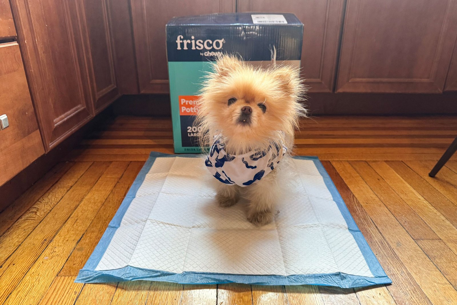 The 7 Best Puppy Pads of 2026