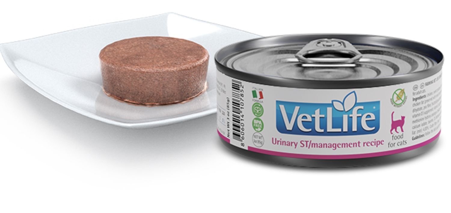 Farmina VetLife Urinary ST/Management Wet Canned Cat Food
