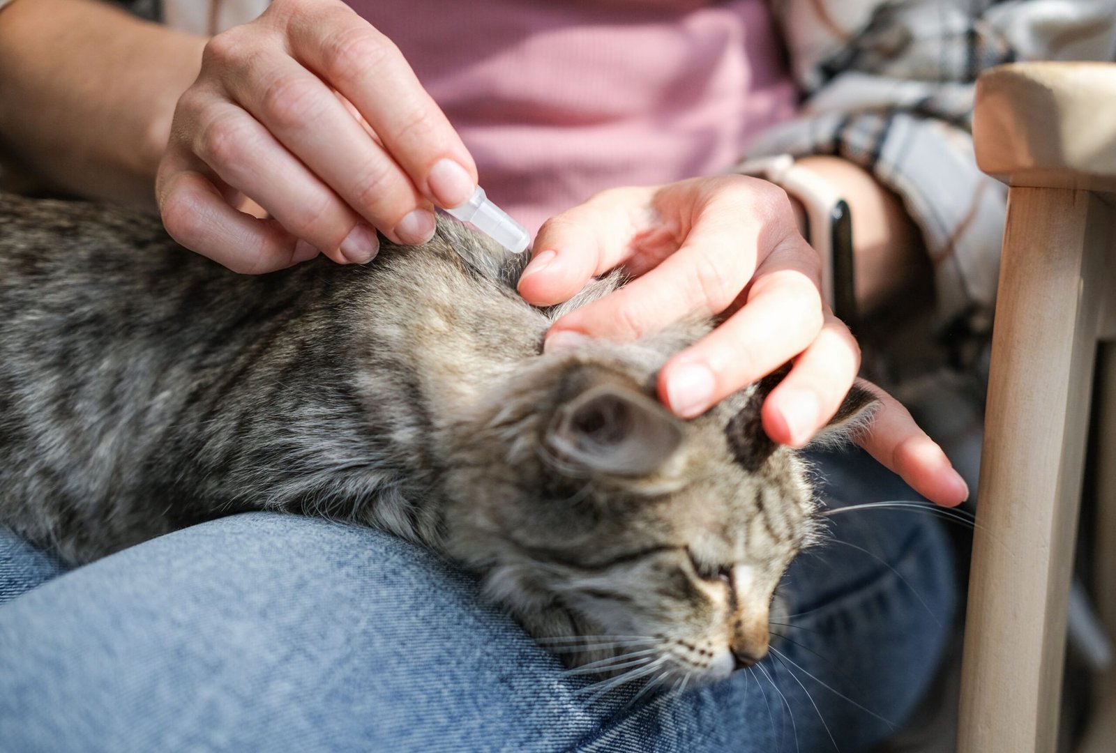 These 4 Tick Prevention Tips Will Help Keep Your Pet Safe This Spring