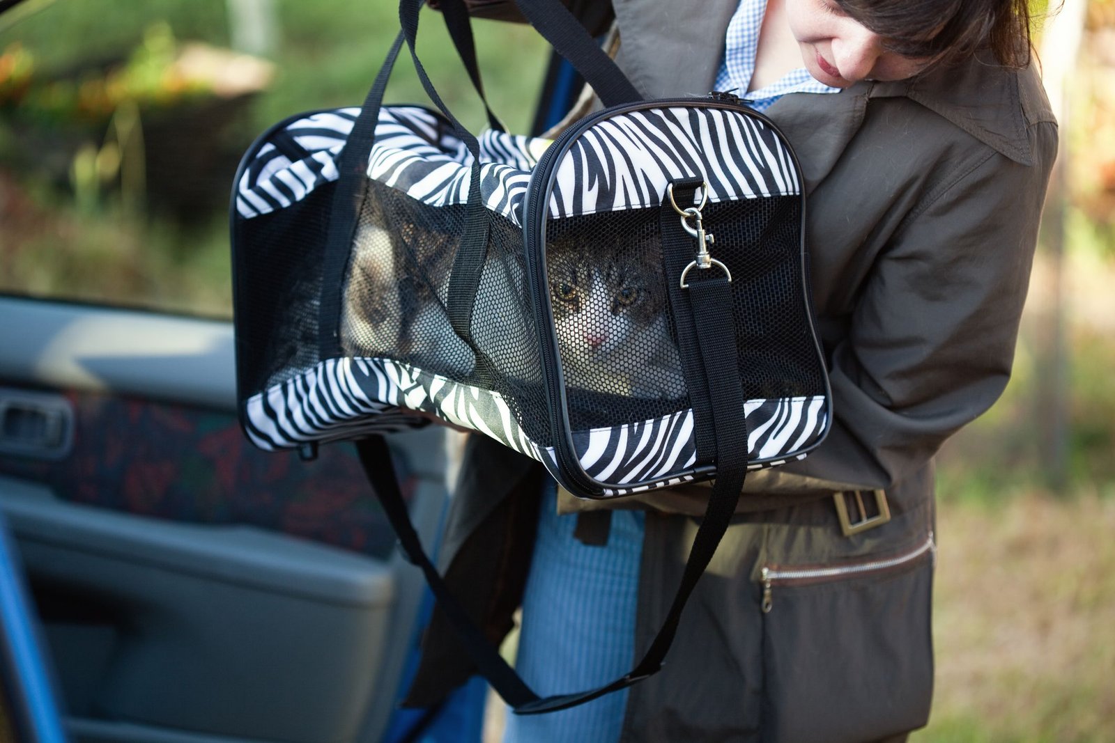 Make Traveling Easier on Your Cat