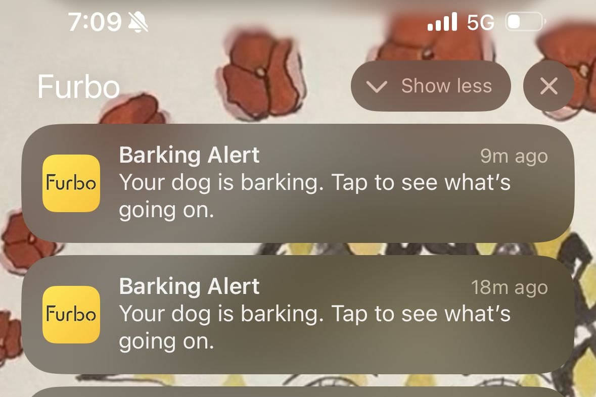 Screenshot of alerts from Furbo Mini