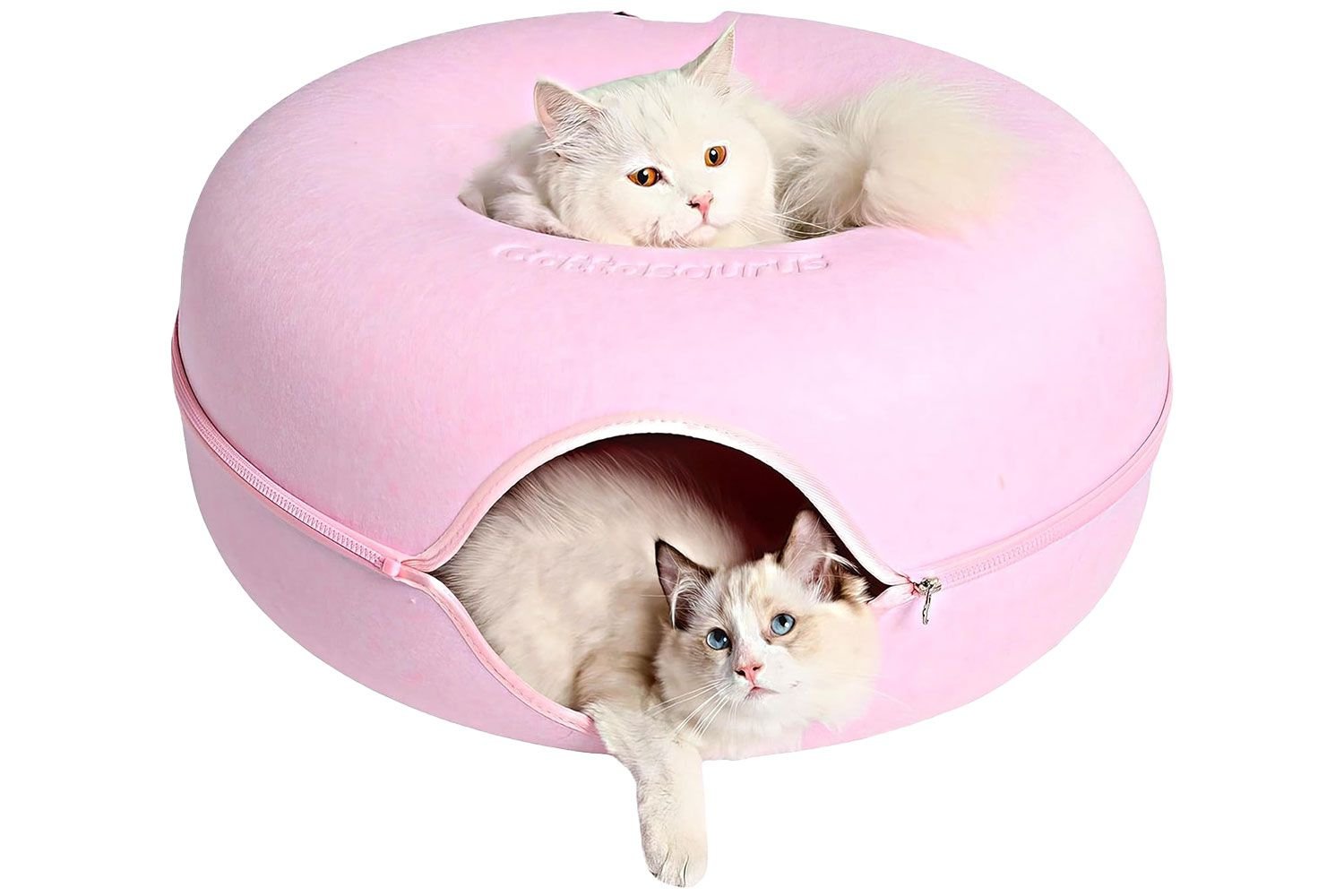 CATTASAURUS Peekaboo Cat Cave