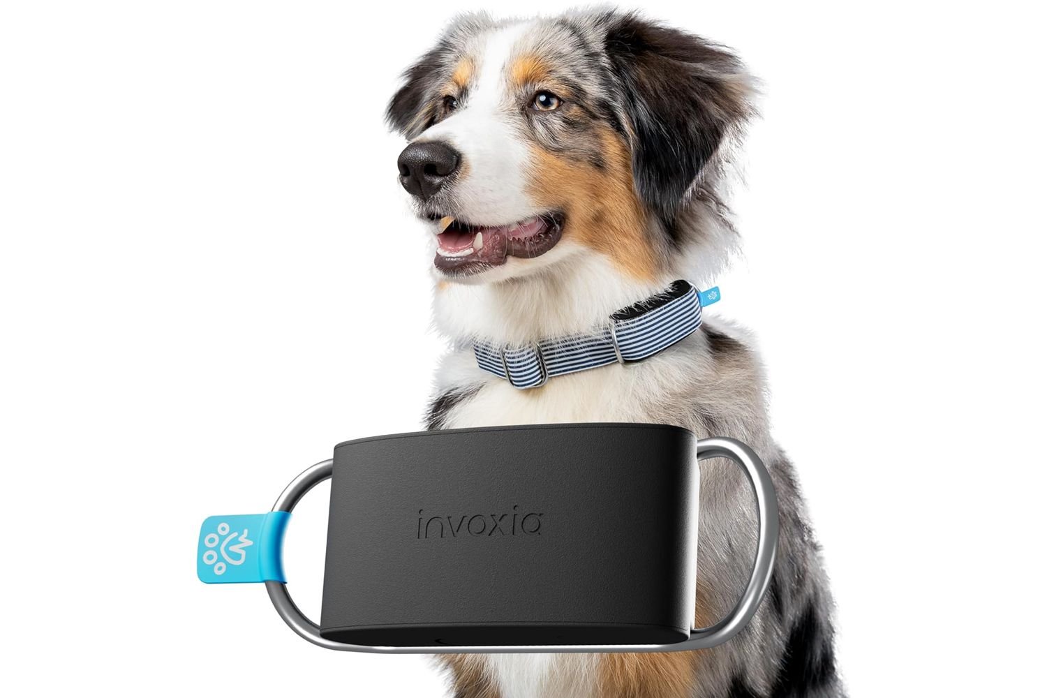 Amazon Invoxia Smart Dog Collar
