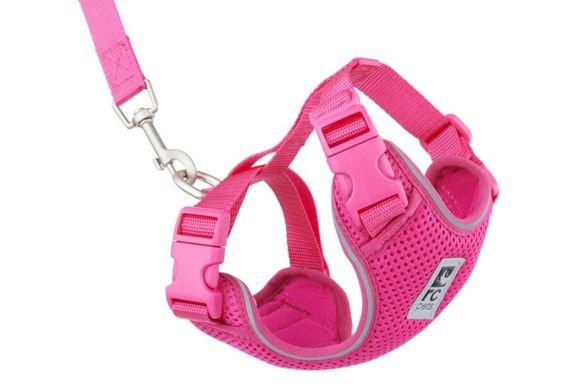 Rc Pets Adventure Kitty Harness Raspberry Small