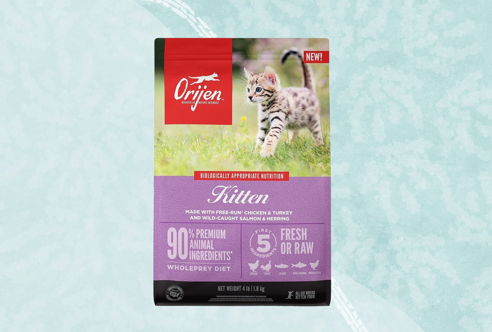 The 11 Best Kitten Foods of 2026