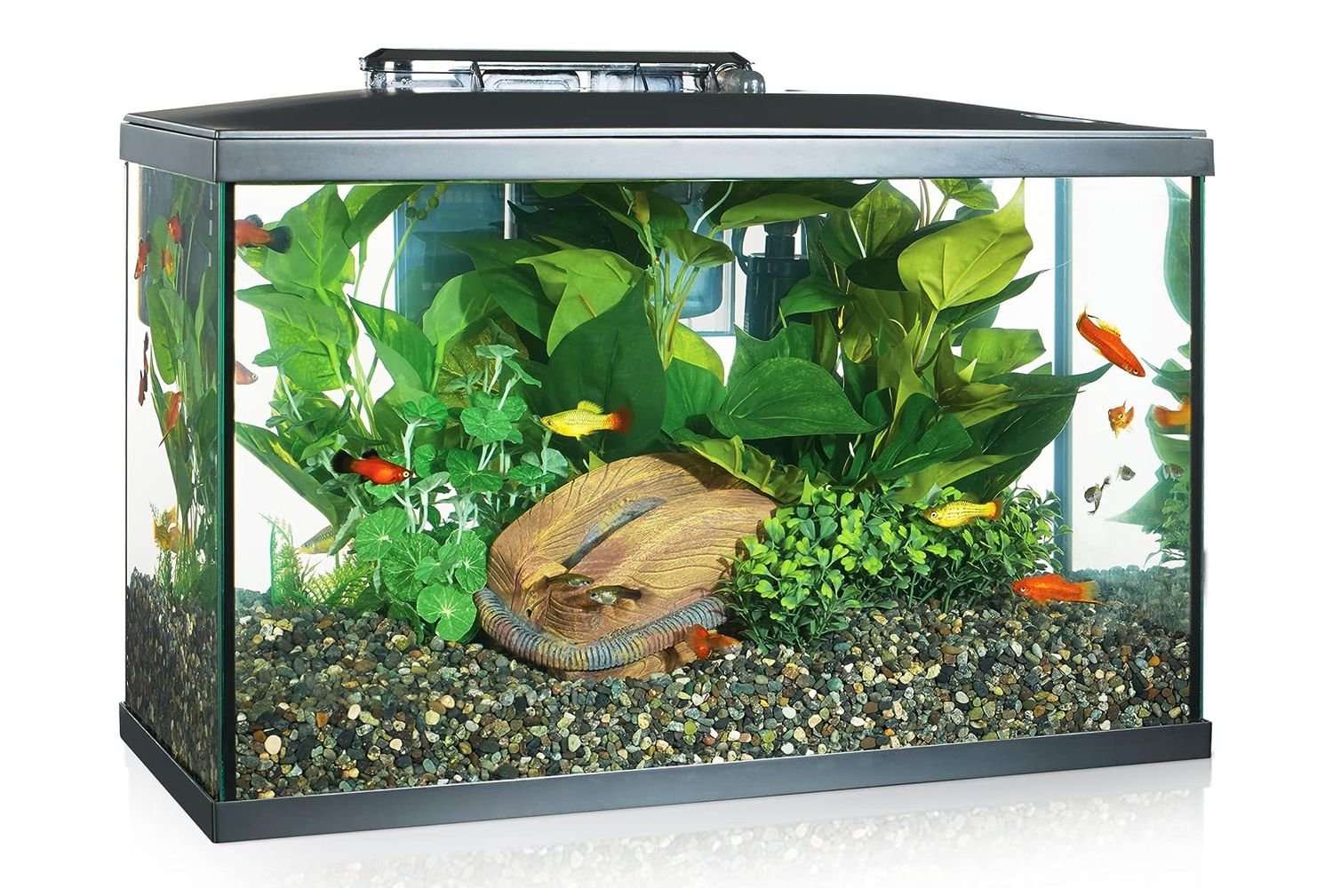 Amazon Marina LED Aquarium Kit