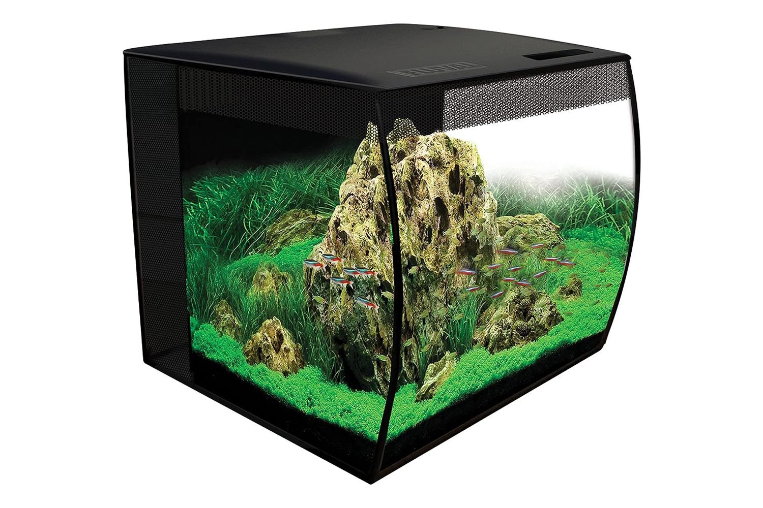 Amazon Fluval Flex 15-gallon Aquarium Kit