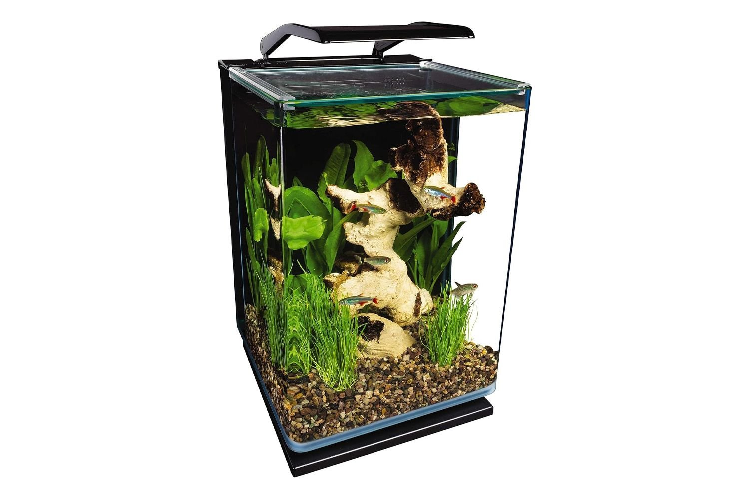 Marineland Portrait Glass LED Aquarium Kit