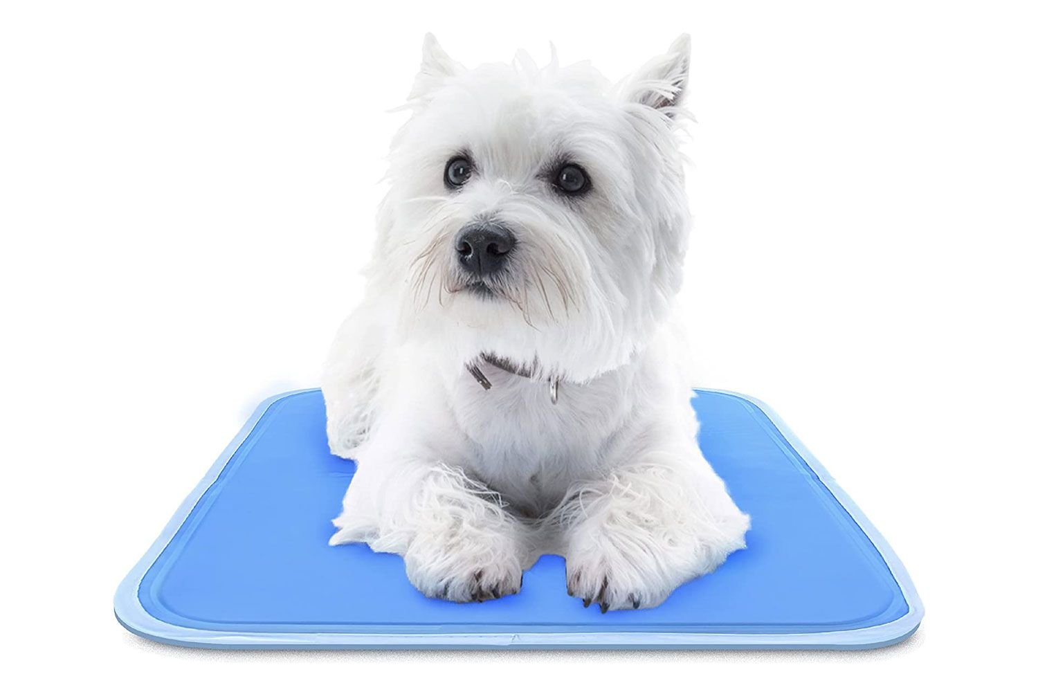 The Green Pet Shop Cool Pet Pad