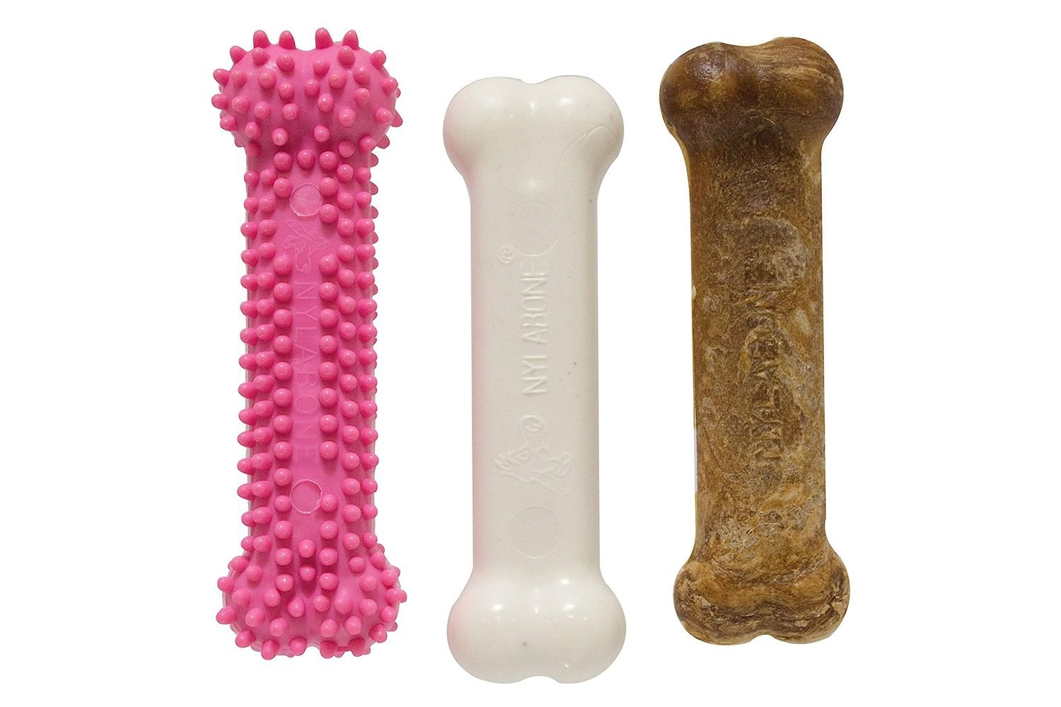 Amazon Nylabone Puppy Chew Teething Pacifier Kit