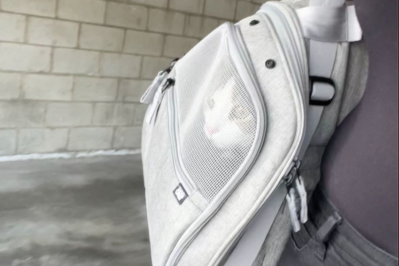 Cat looking through mesh window of Travel Cat The Transpurrter Ultimate Calming Convertible Cat Carrier