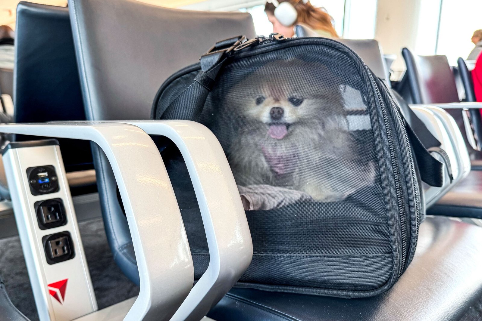 We Tested Airline-Approved Pet Carriers On Real Flights And These Are The Best