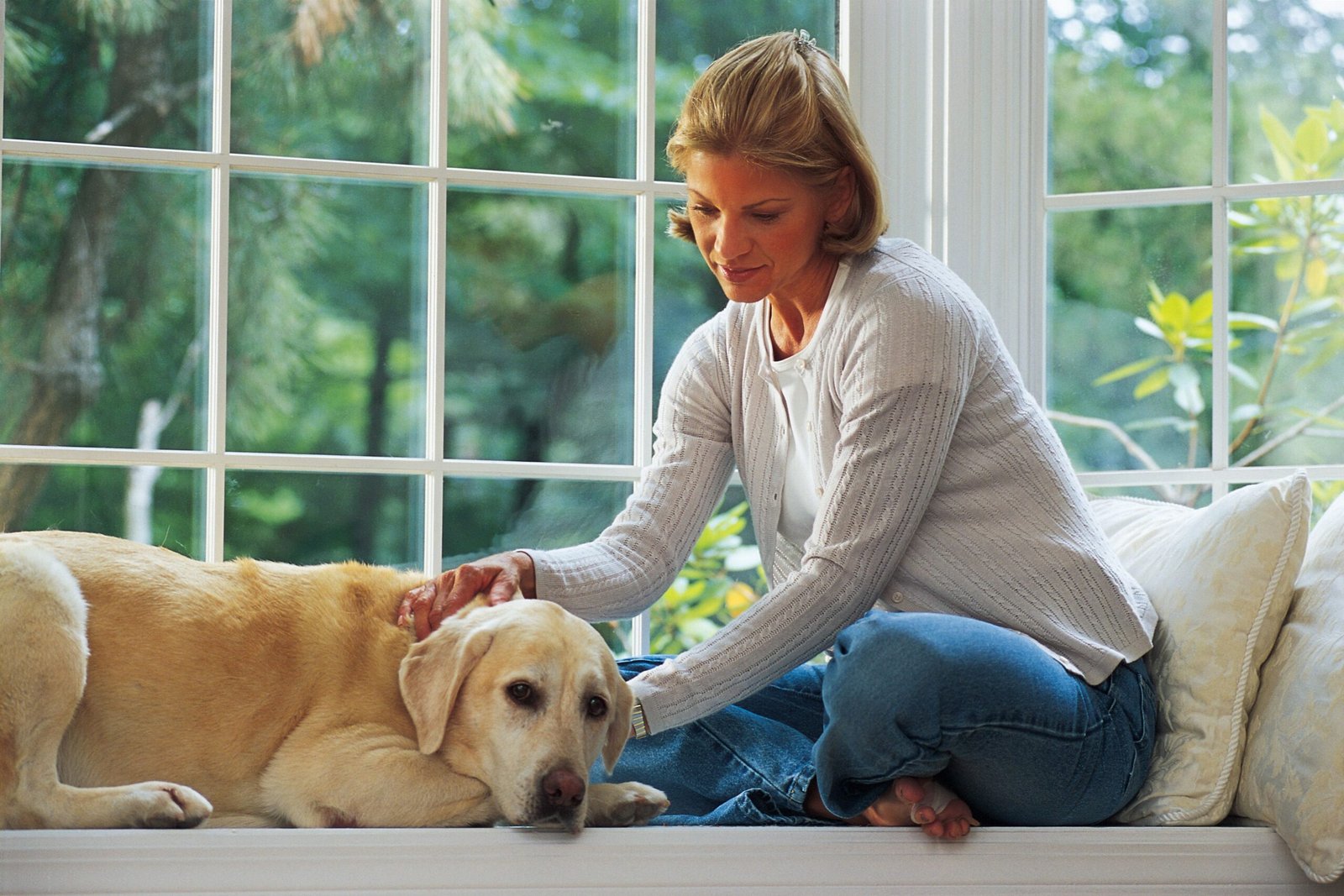 What to Do if Your Dog Has Hip Dysplasia