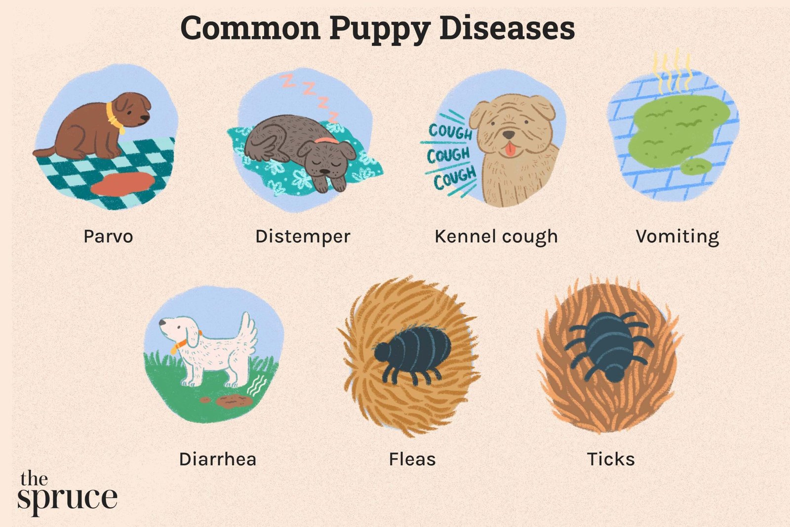 How to Keep Your Puppy From Getting Sick