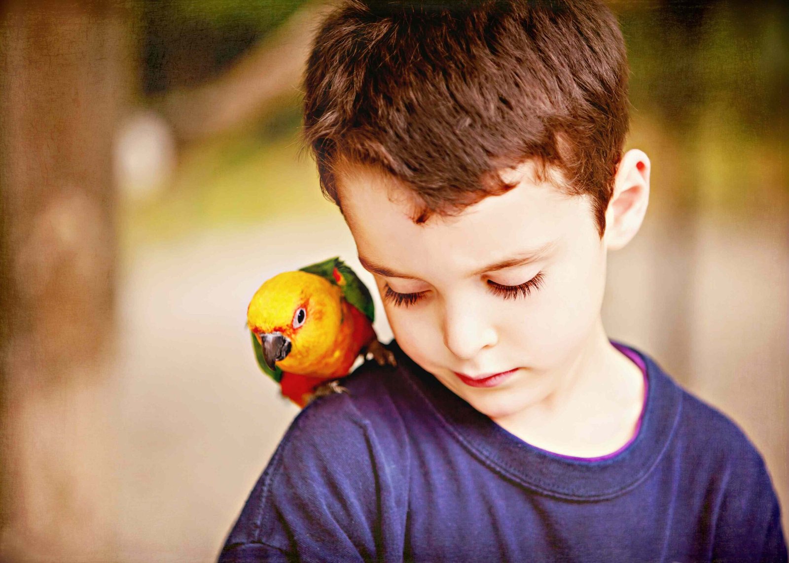 Are Vacations Possible When You Own Parrots or Other Birds?