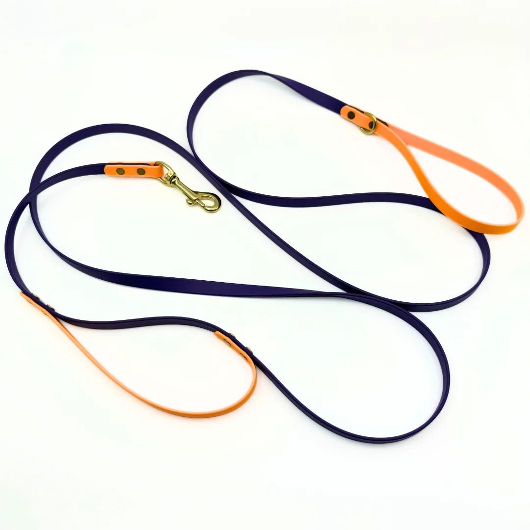 High Tail Hikes Brass Leash