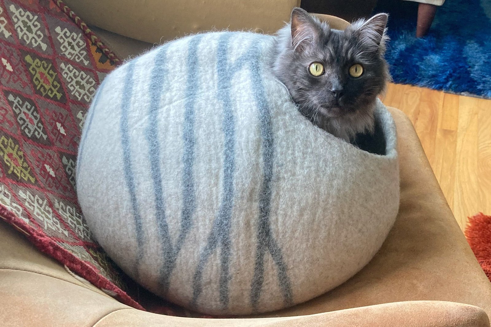 The 8 Best Cat Caves of 2026