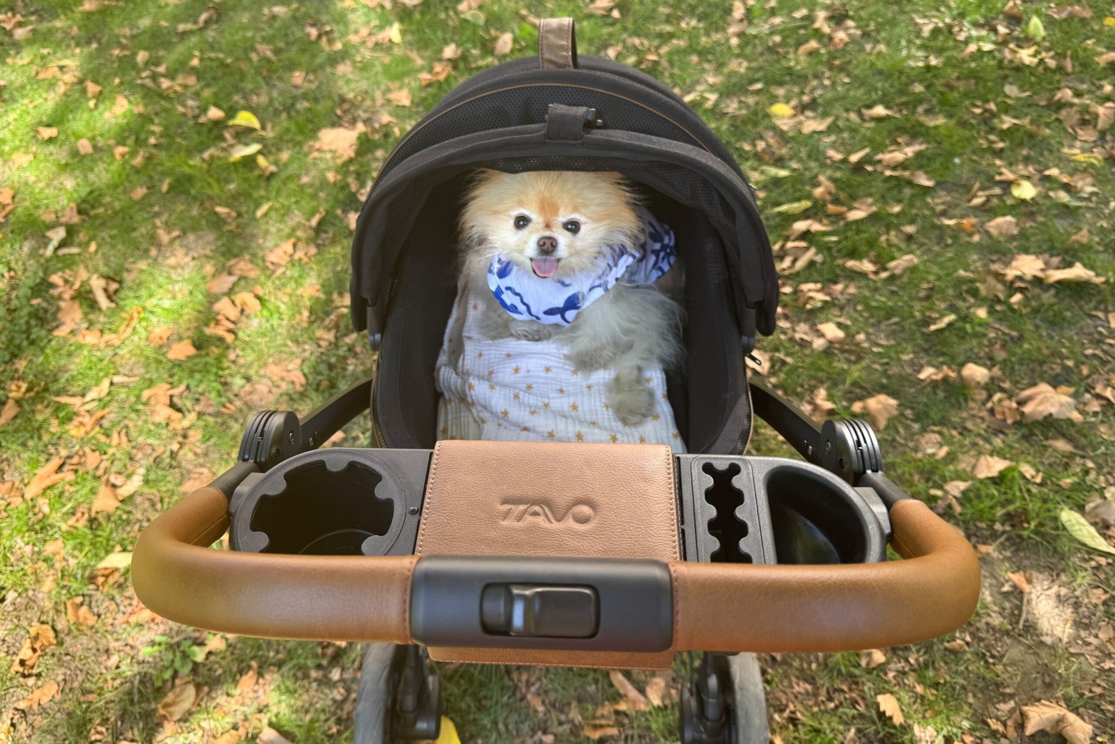 We Tested 20 Dog Strollers, Our Favorite Has Ample Storage And SPF Protection