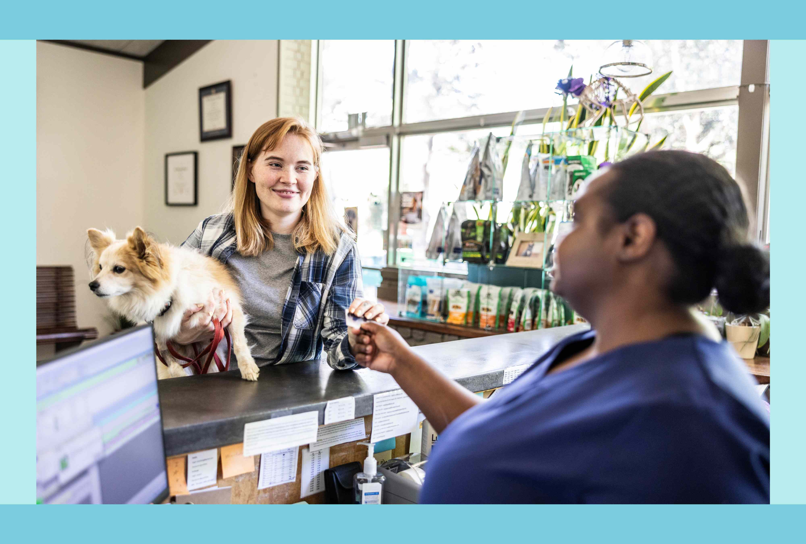 The True Cost of Dog Ownership: What to Budget Before You Adopt