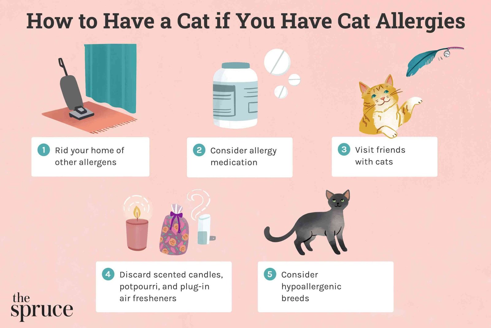 Living with Cats: Navigating Cat Allergy Symptoms for Pet Lovers