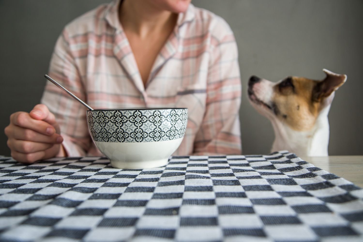 Can Dogs Eat Cereal?