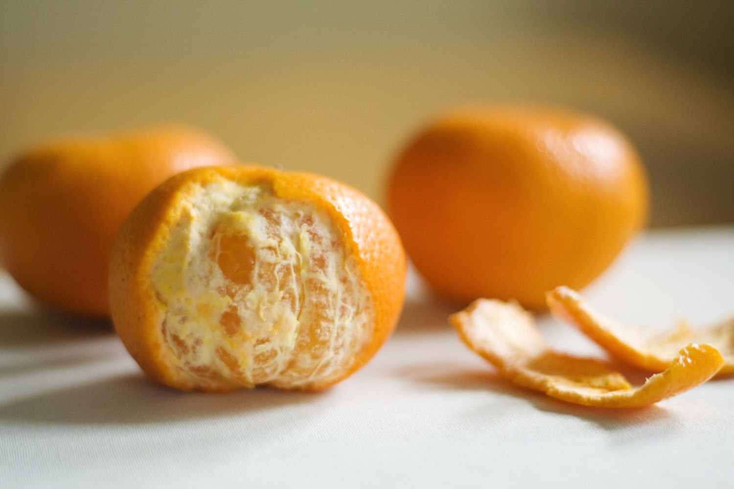 Can Dogs Eat Oranges?