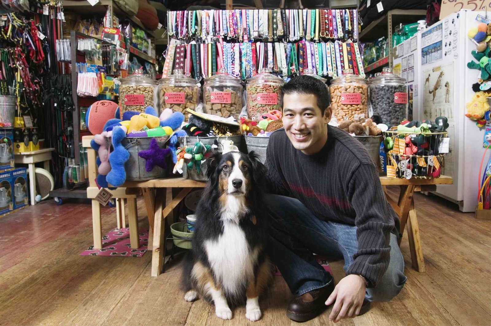 Are Dogs Colorblind?